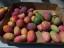 Tree ripe mangoes